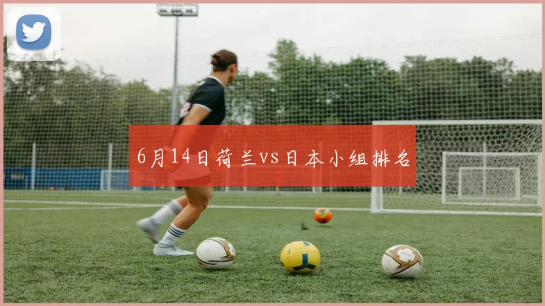 6月14日荷兰vs日本小组排名