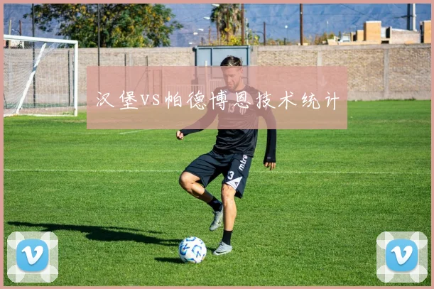 汉堡vs帕德博恩技术统计