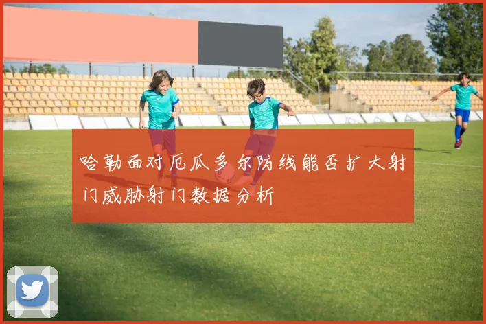 哈勒面对厄瓜多尔防线能否扩大射门威胁射门数据分析