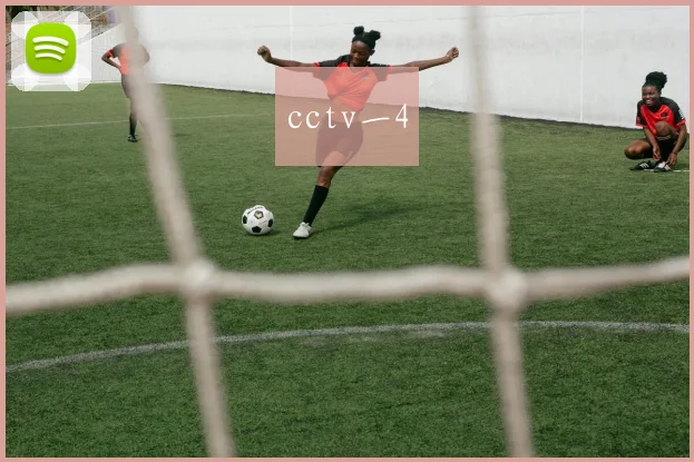 cctv一4