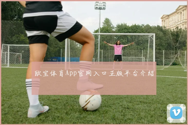 欧宝体育App官网入口正版平台介绍