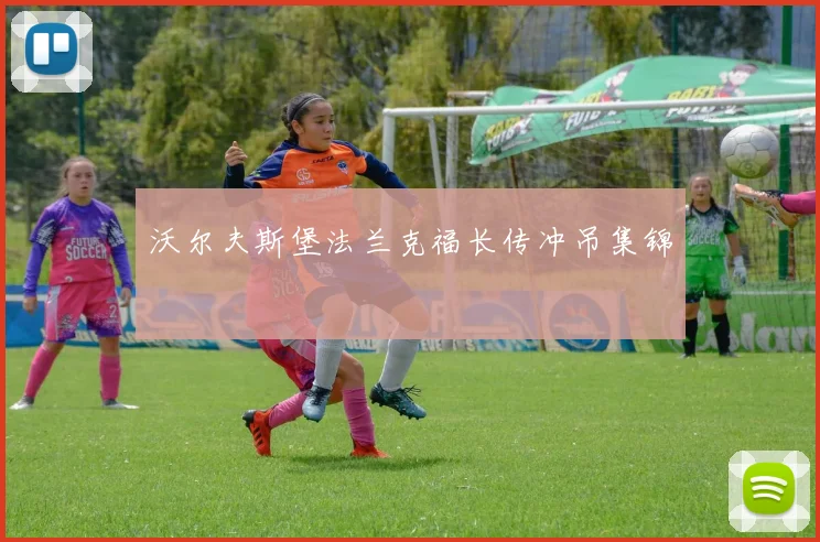 沃尔夫斯堡法兰克福长传冲吊集锦