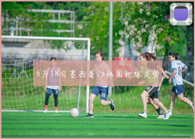 6月18日墨西哥vs韩国控球走势