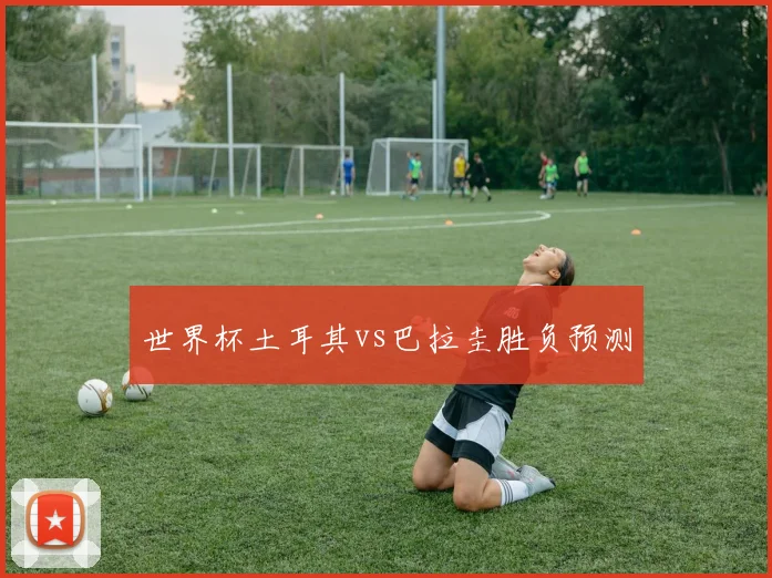 世界杯土耳其vs巴拉圭胜负预测