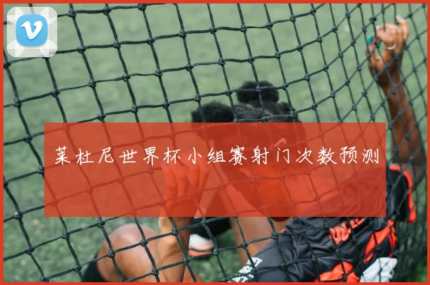 莱杜尼世界杯小组赛射门次数预测