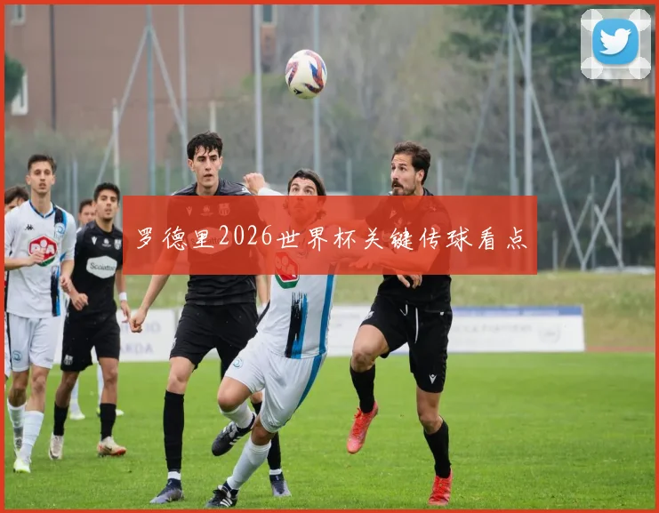 罗德里2026世界杯关键传球看点